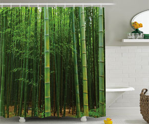 Bamboo Forest Image Shower Curtain